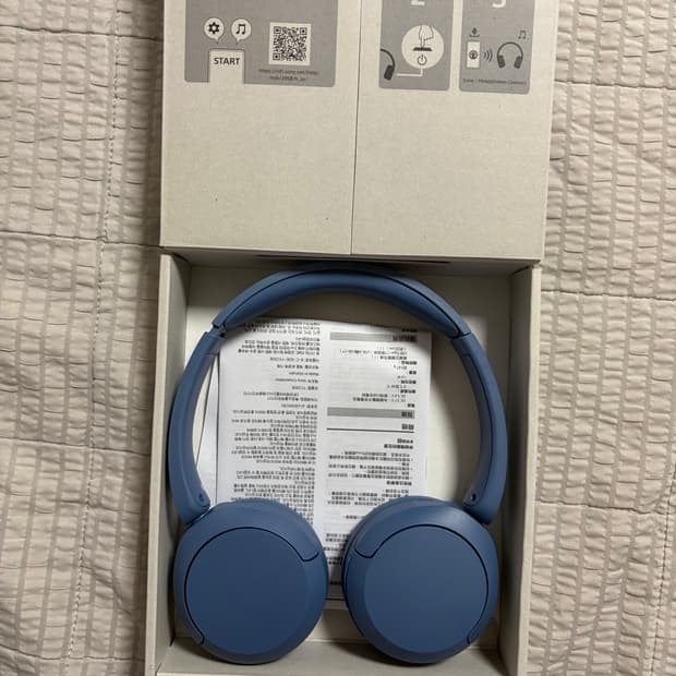 소니 WH-CH520 Blue
