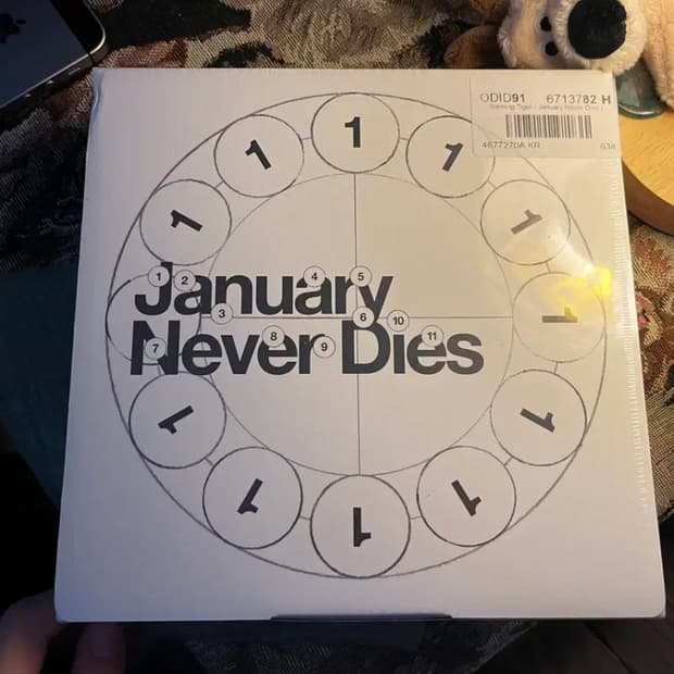 [미개봉] Balming Tiger - January Never Dies