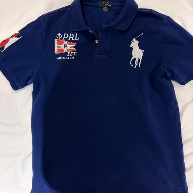 폴로 빅포니 카라 