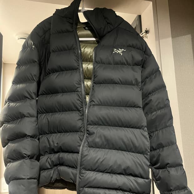 아크테릭스 토륨 AR 후디 글리치