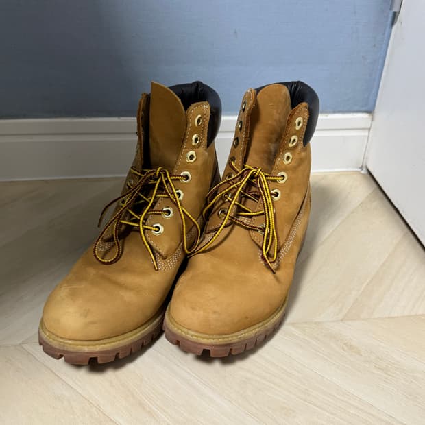 팀버랜드 프리미엄 6인치 부츠 위트 누벅 250