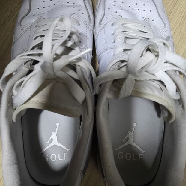 나이키조던골프스니커즈 275
