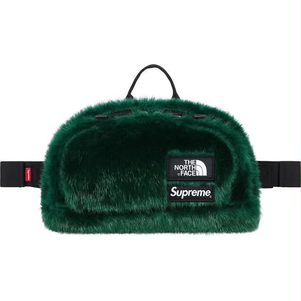 Supreme the north face fur bag