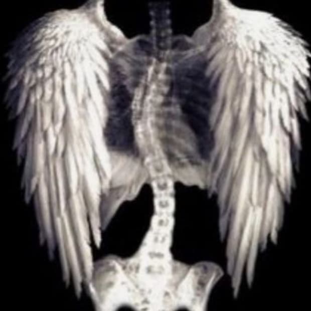 lgriyh님 개인결제창 