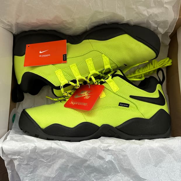 나이키 슈프림 다윈 로우