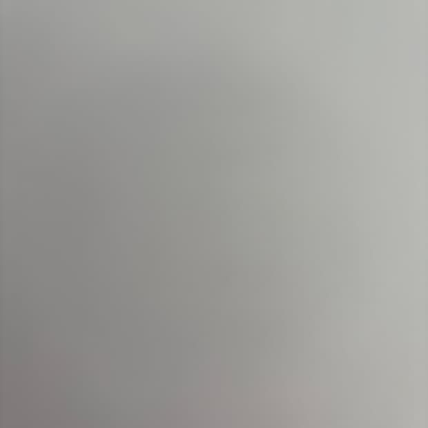 중형배터리