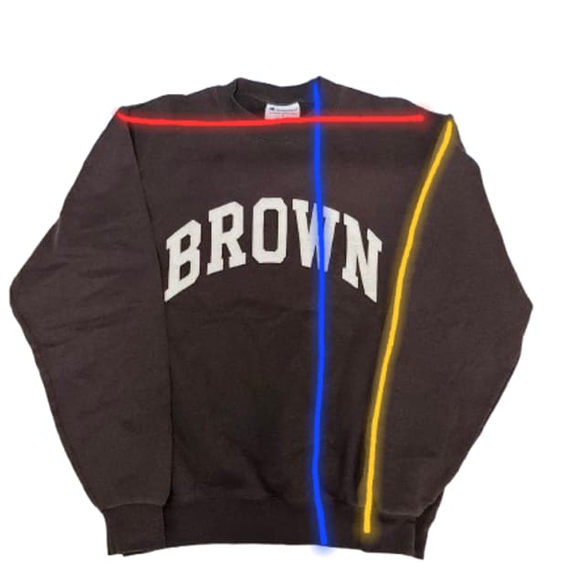 빈티지 챔피온 BROWN UNIVERSITY 맨투맨 (95~100)