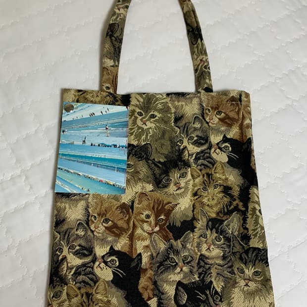 블레스 고양이 백