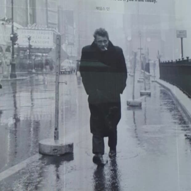 Schott 피코트 38 구매합니다