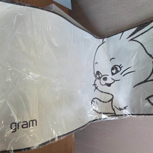 뉴진스 그램 장패드