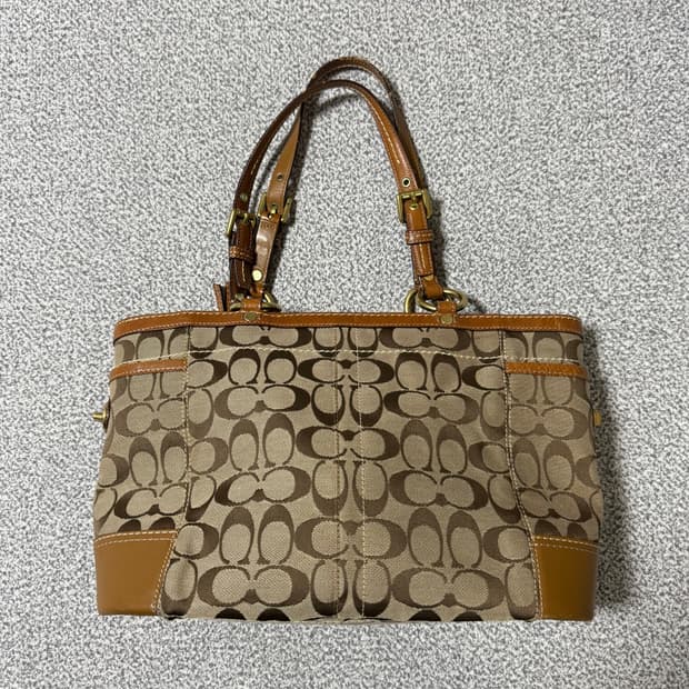 Coach 코치 시그니처 토트백