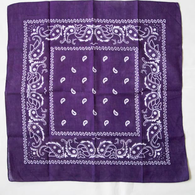 [ purple paisley bandana ]