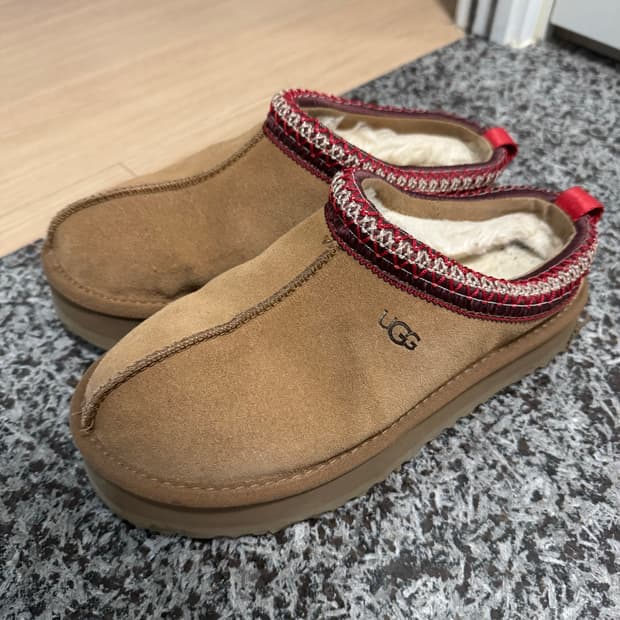 어그 타스만 플랫폼 250