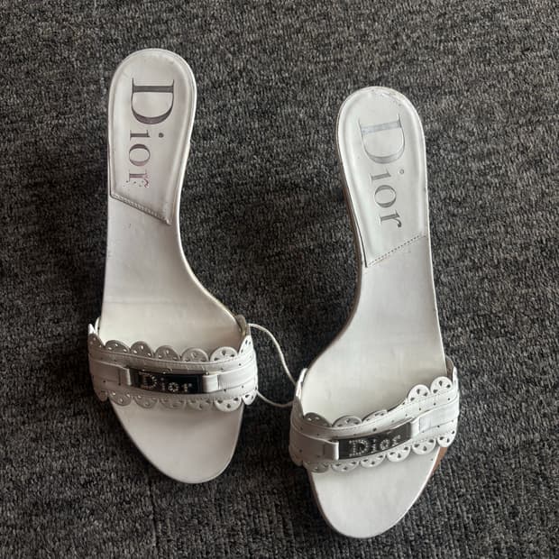 디올 구두 