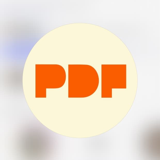 Pdf channel 40사이즈 신발 구매합니다