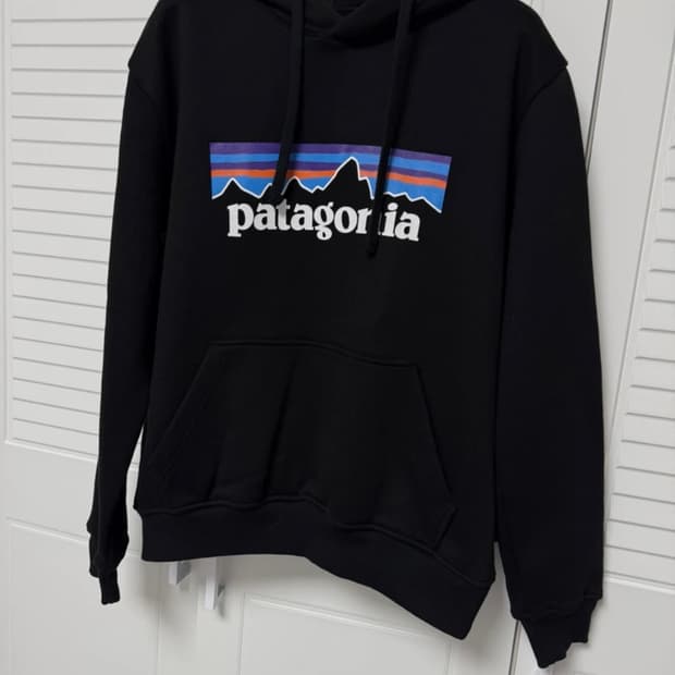 파타고니아 후드티