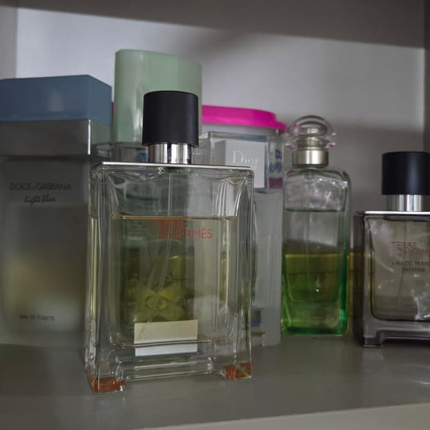 떼르 데르메스 edt 100ml 국문택