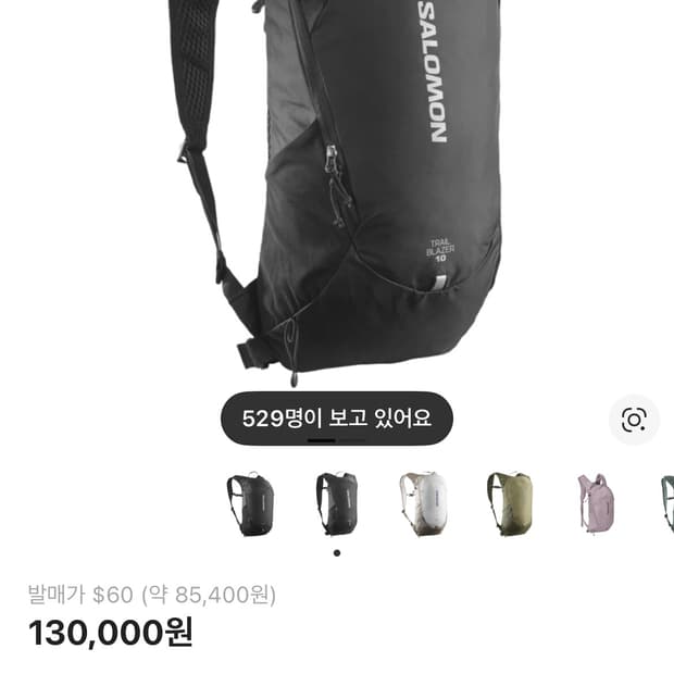 살로몬 트레일블레이저 10 블랙