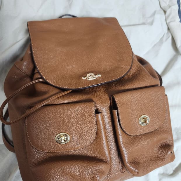 Coach back pack