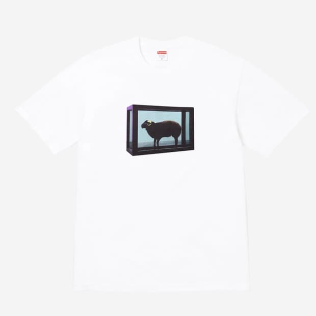 Supreme x Damien Hirst T-Shirt White (M)