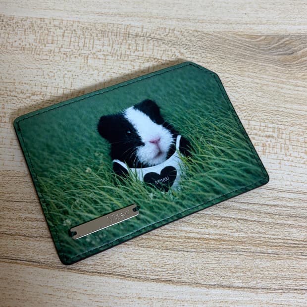 미세키서울 기니 카드지갑