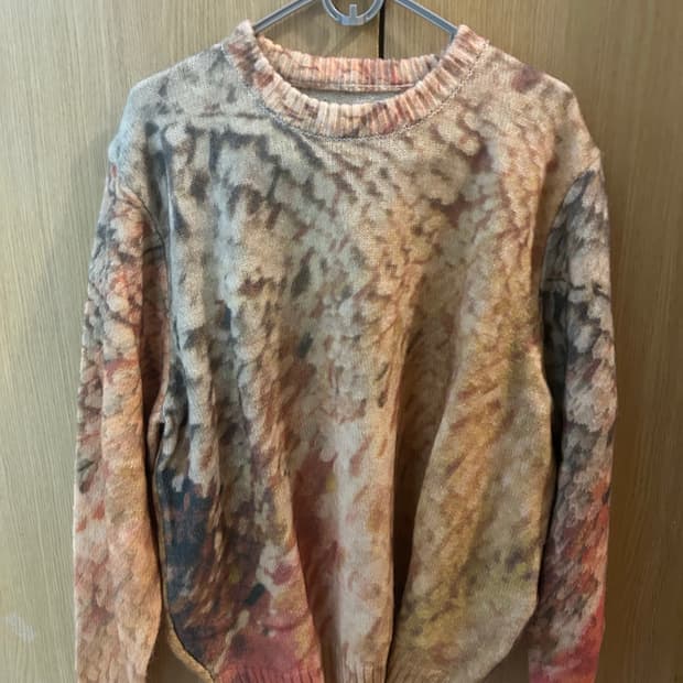 Stussy 스투시 윙스 프린트 니트