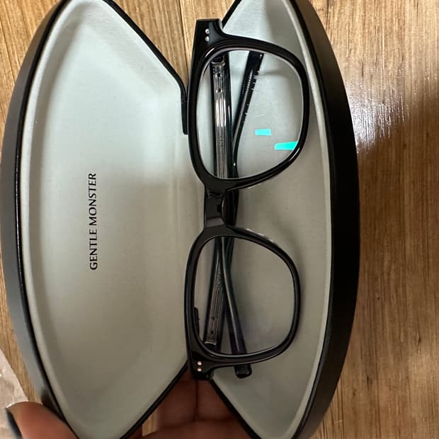 젠틀몬스터 에반 새상품