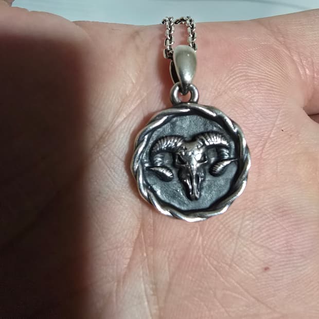 스팅925 램코인 은목걸이