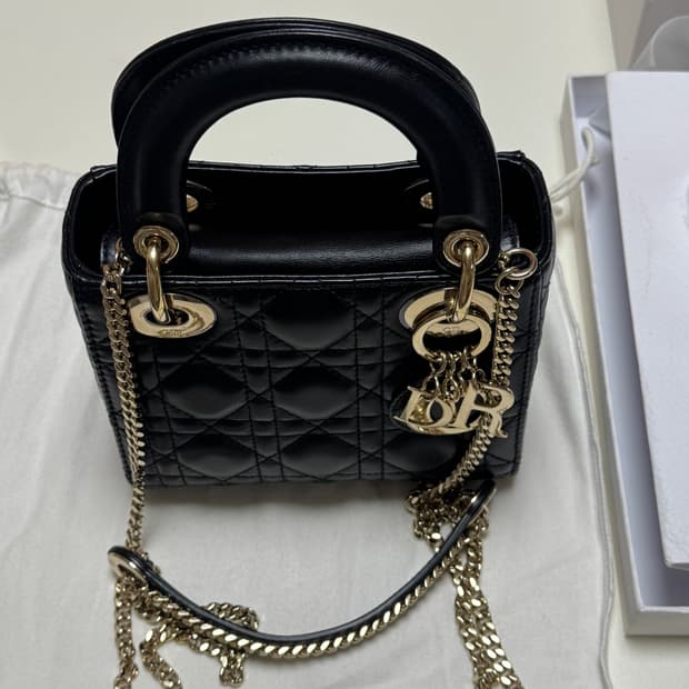 디올 레이디백 미니 체인백