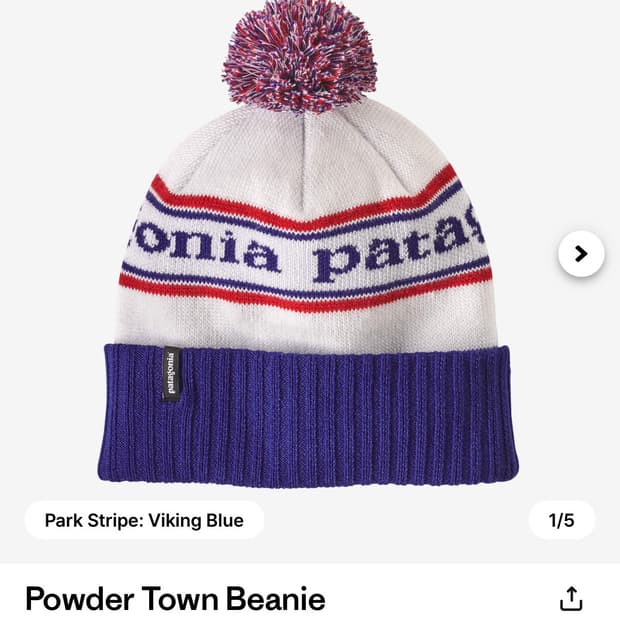 파타고니아 파우더 비니 