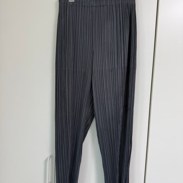 플리츠플리즈 팬츠