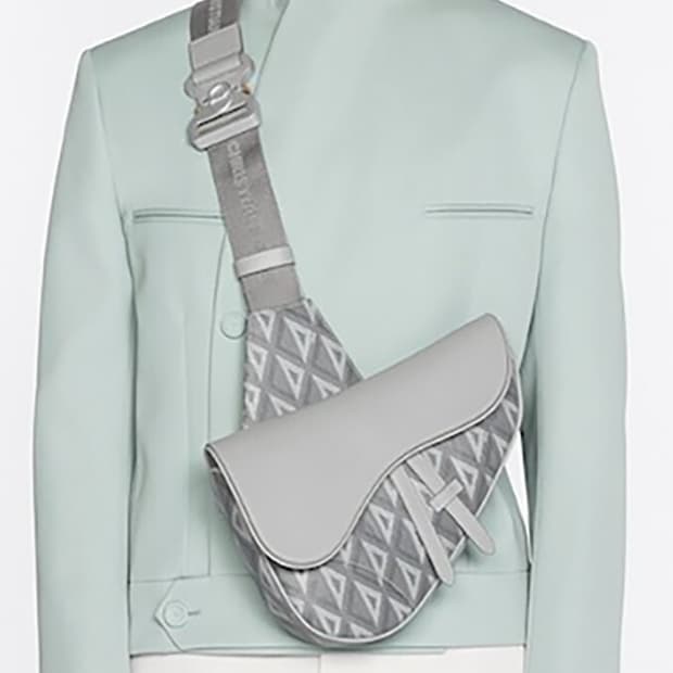 디올 새들백 CD 다이아몬드 캔버스 스무스 카프스킨 그레이 새들백