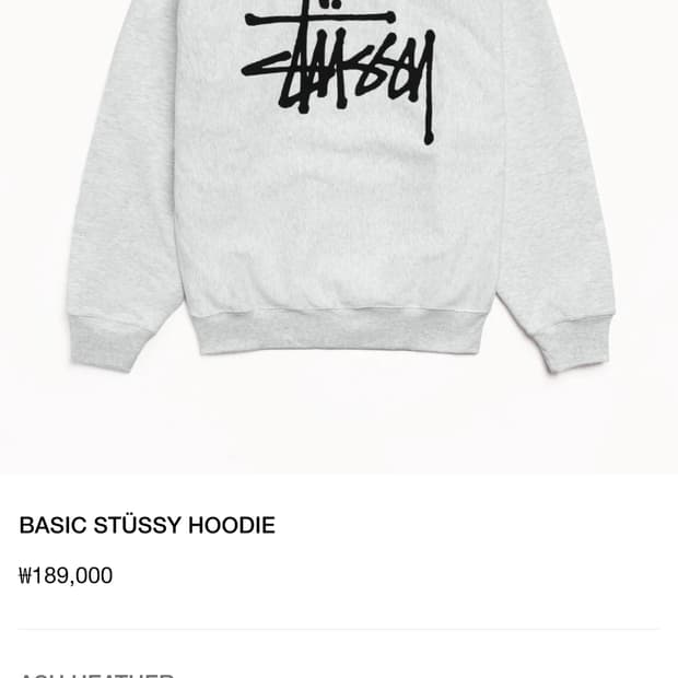 스투시 베이직후디