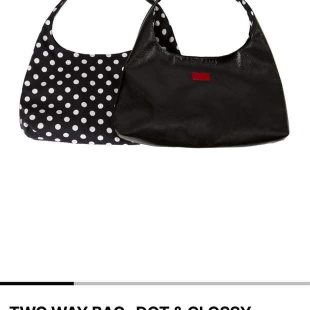 Two way bag - Dot & glossy