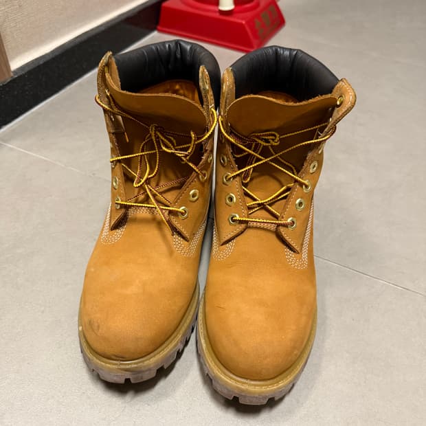 팀버랜드 프리미엄 6인치 위트 누벅