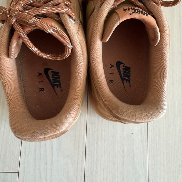 나이키 된장포스 250