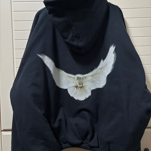 s 이지 갭 엔지니어드 바이 발렌시아가 도브 후디