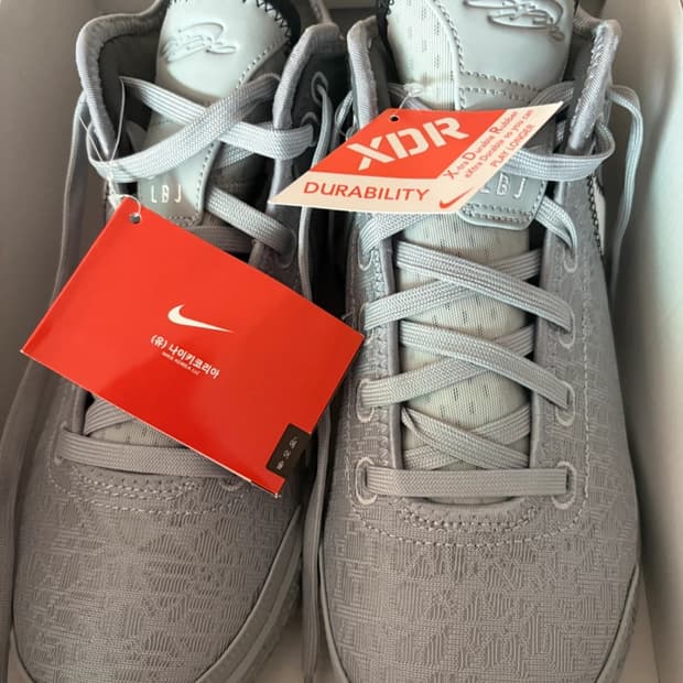 나이키 줌 르브론 NXXT GEN EP 275 새상품