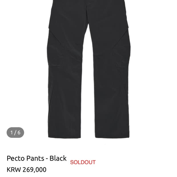 Pecto pants 구매합니다 블랙,그레이 무관 2사이즈