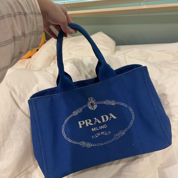 프라다 블루 도트백