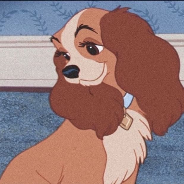 Nanasona님 카드결제창✔️