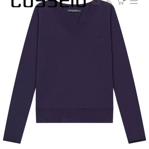 코이세이오038 베이직 브이넥 니트 퍼플 L 사이즈