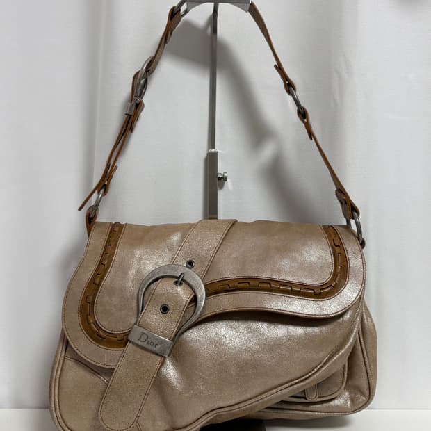 디올 가우초 숄더백