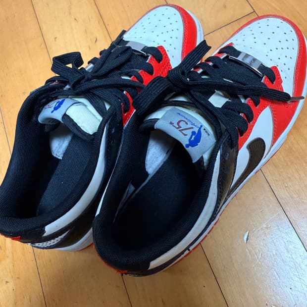 나이키 NBA 덩크 로우 레트로 240