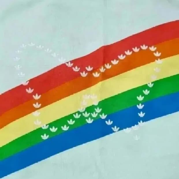 아디다스 무지개 반팔 