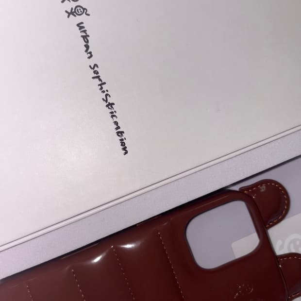 아이폰16 어반소피스티케이션 테디베어