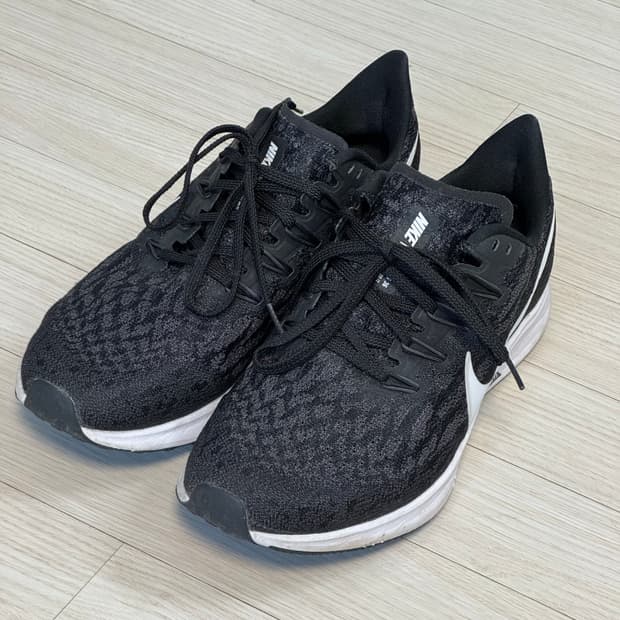 [265] 나이키 에어줌 페가수스 36