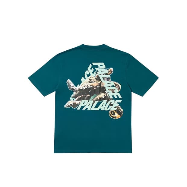 팔라스 OCTO Tee L