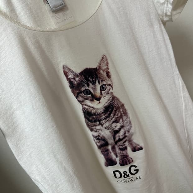 Dolce & Gabbana archive 돌체앤가바나 고양이