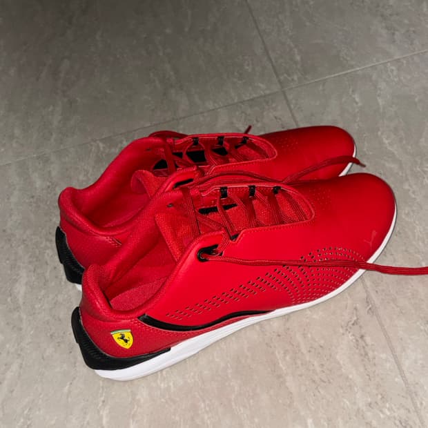 F1 Ferrari drift cat